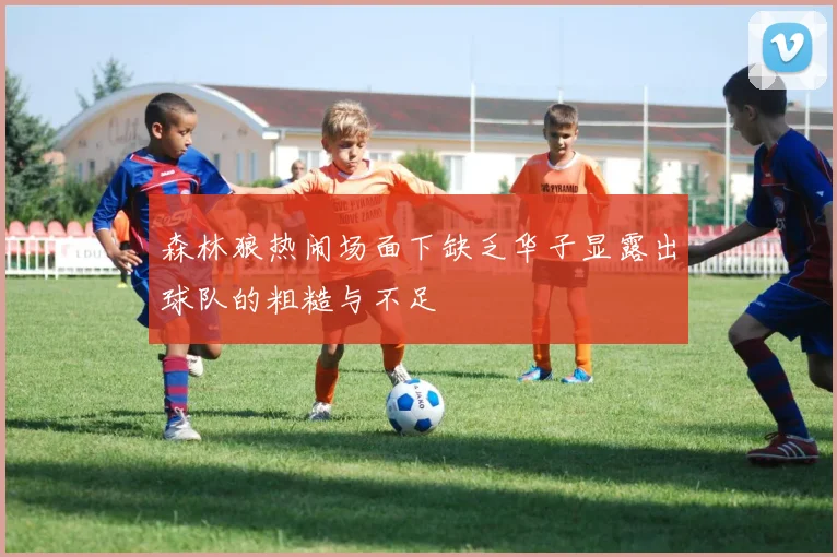 森林狼热闹场面下缺乏华子显露出球队的粗糙与不足