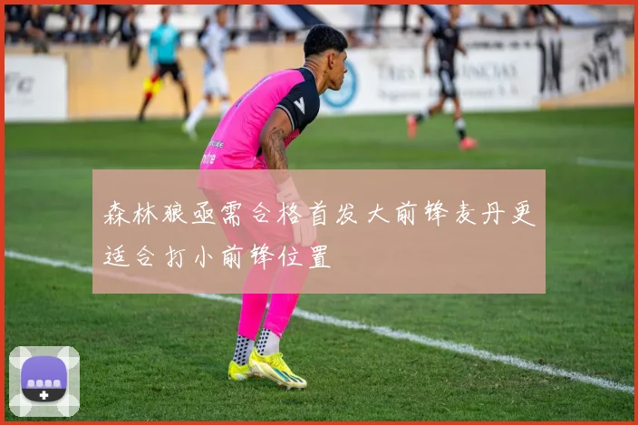森林狼亟需合格首发大前锋麦丹更适合打小前锋位置